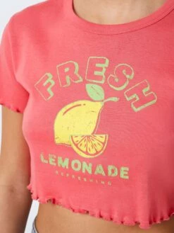 Noisy May CROPPED T-SHIRT 13 Noisy May CROPPED T-SHIRT -Noisy May Clothing Shop 27011685 SunKissedCoral 1022828 006